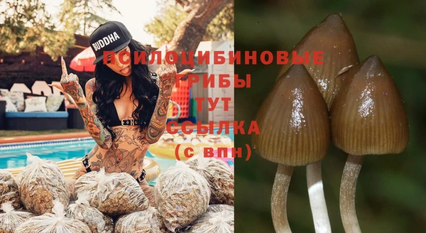 мяу мяу мука Краснотурьинск